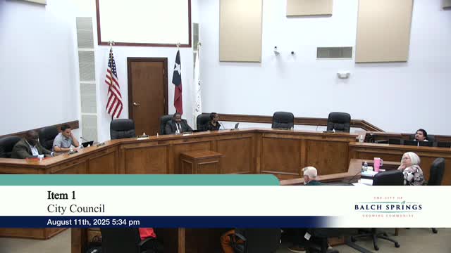 City Council Prepares Updated Budget Following OpenGov Software Transition