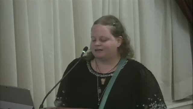 Tourism Operator Supports St Augustine Horse Carriage Industry at CRA Meeting