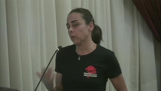 Heather from Jacksonville Advocates for Better Care of Carriage Horses
