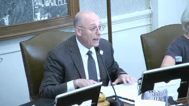 Council Meeting Draws Large Crowd Despite Tech Glitches and Lighthearted Jokes