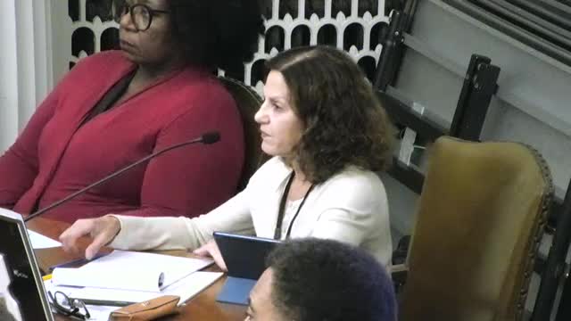 Councilwoman outlines two-year plan for stormwater management and dam restoration