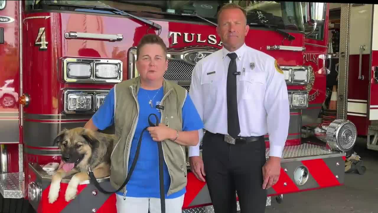 Tulsa Animal Services partners with Fire Department to reunite lost pets with owners