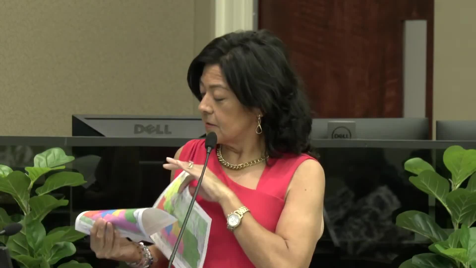 Commissioners Debate Redistricting Maps Impacting Orange County Communities