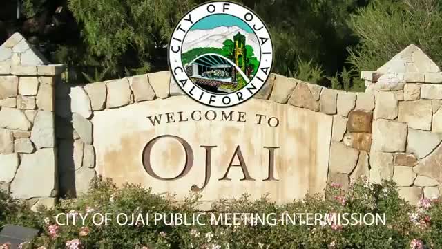 Council Discusses Labor Negotiations in Closed Session Following Public Comments