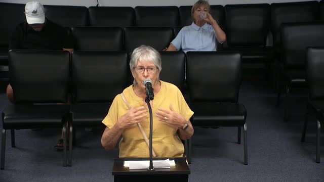 City Council Plans Fourth of July Festival and Community Identity Project