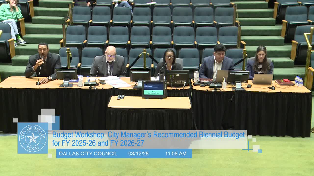 Dallas City Council Plans Multi-Pronged Approach to Nighttime Safety and Budget Strategies