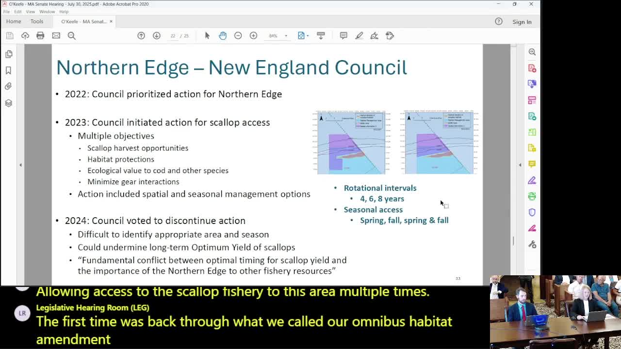 Council Votes to Discontinue Scallop Rotational Program Amid Habitat Concerns