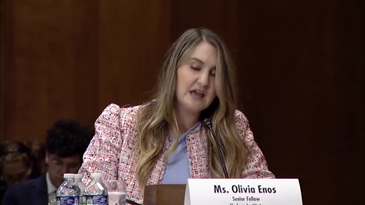 Senators hear testimony that Hong Kong functions as a sanctions‑evasion and money‑laundering hub