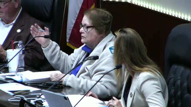 City Council Discusses New Government Structure and Citizen Involvement in Conroe