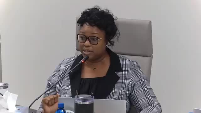 Council forms Public Facilities Authority and appoints members as debate continues over millage-cap removal and bond plans