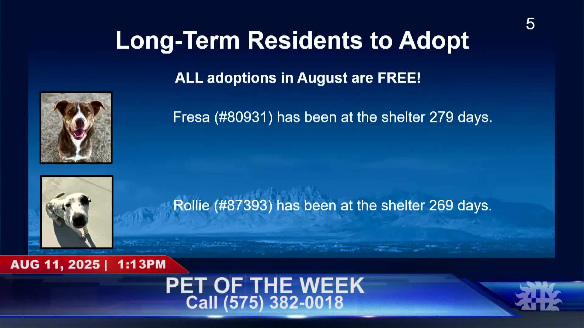 Downtown Las Cruces Partnership Discusses Revitalization and Community Engagement Efforts