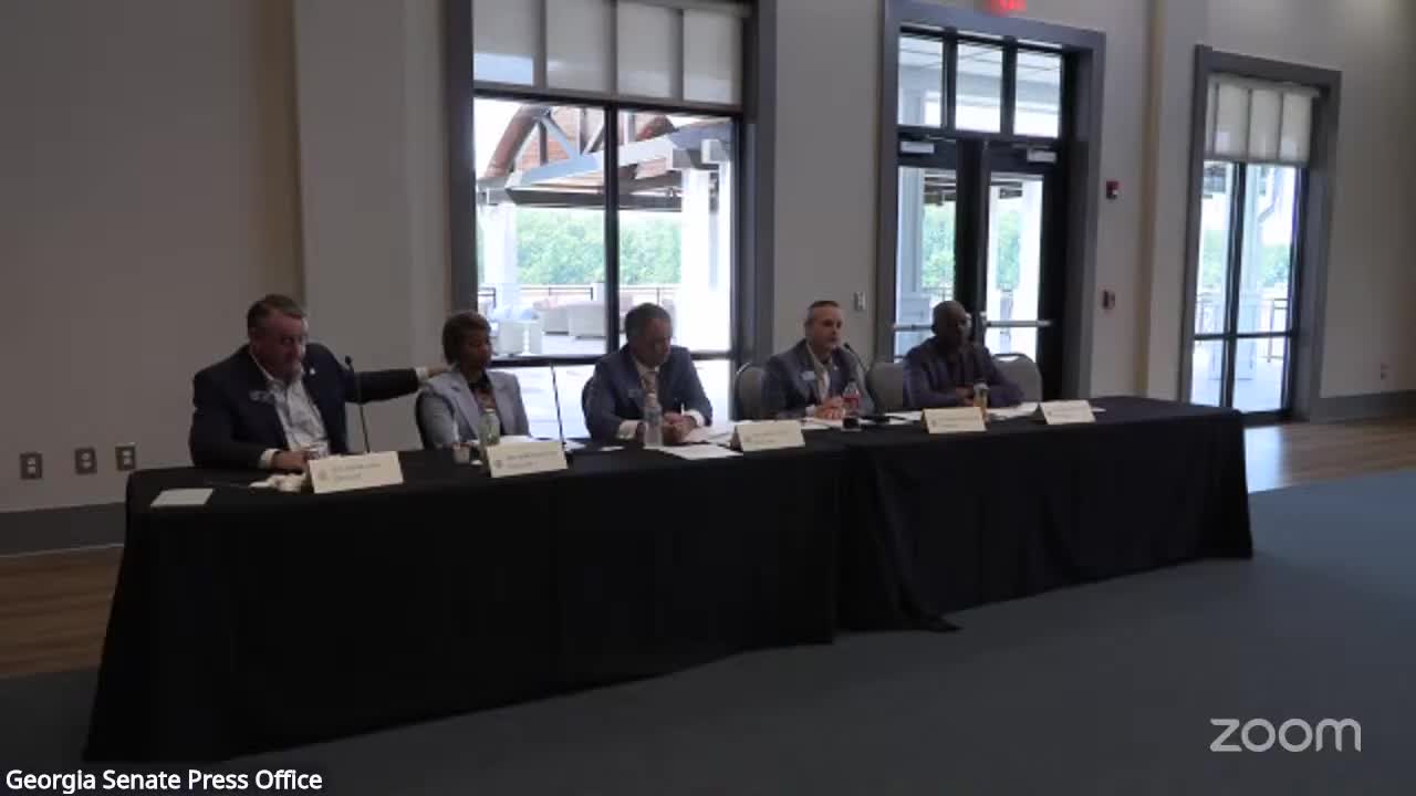 Georgia Committee Discusses Local Control and Tourism Development in Gainesville Meeting