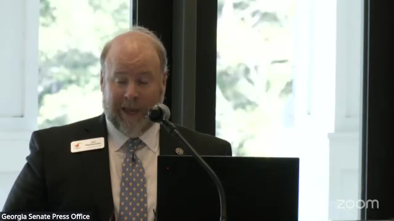 Georgia Tourism Department allocates $5.3M for marketing amid industry growth discussions