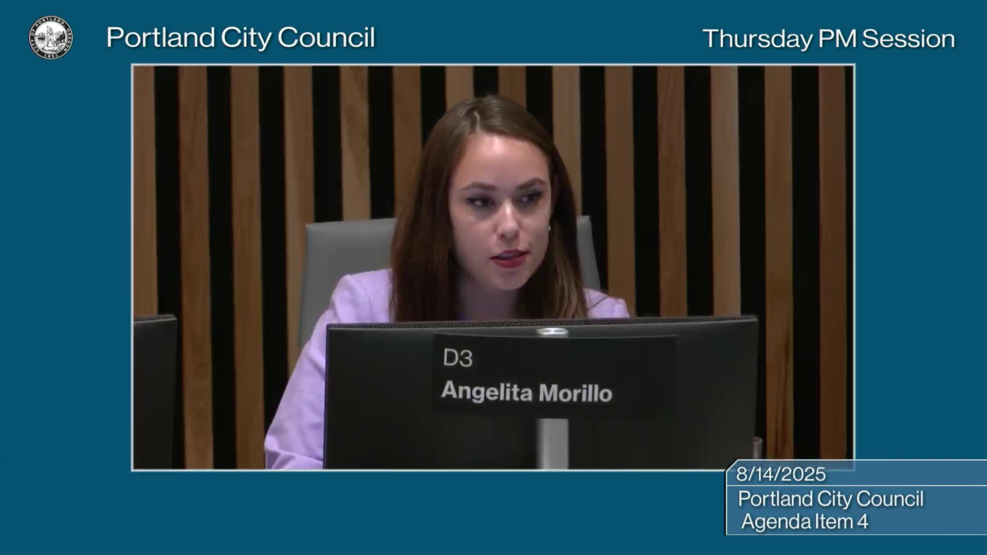 Council Considers Governance Structure Reform Amid Ongoing Debates on Committee Roles