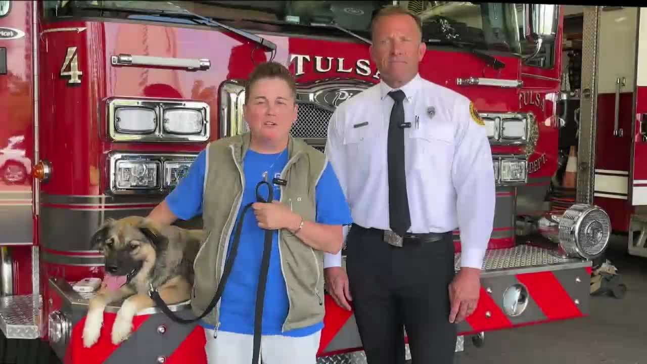 Tulsa Animal Services partners with fire stations to scan lost pets for microchips