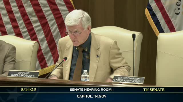 Senate Committee Holds Discussion on Criminal Justice Bill Led by Leah Dragbery