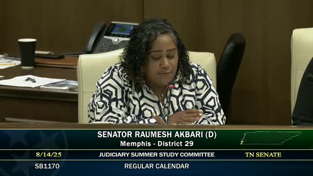 Tennessee Lawmakers Discuss Intent in First Degree Murder Charges Amid Opposition