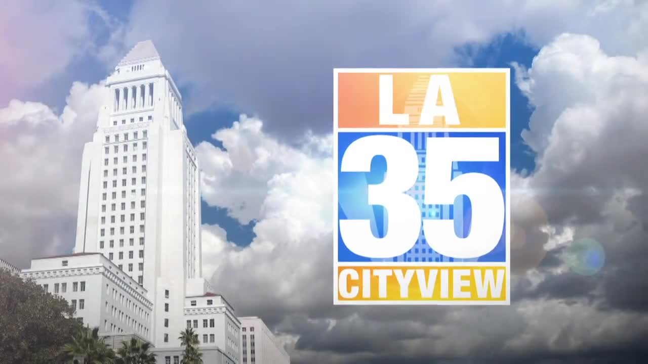 Community leaders urge Los Angeles to strengthen safeguards after masked immigration operation near Little Tokyo