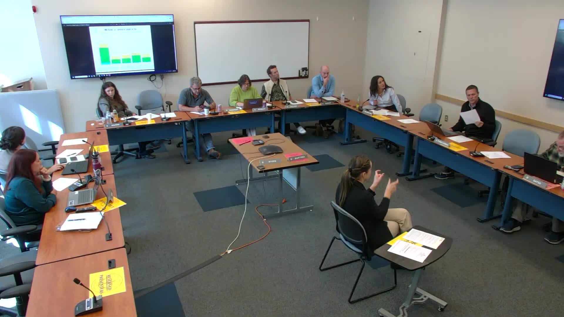 Local Council Discusses Funding Gaps in Mental Health and Childcare Initiatives