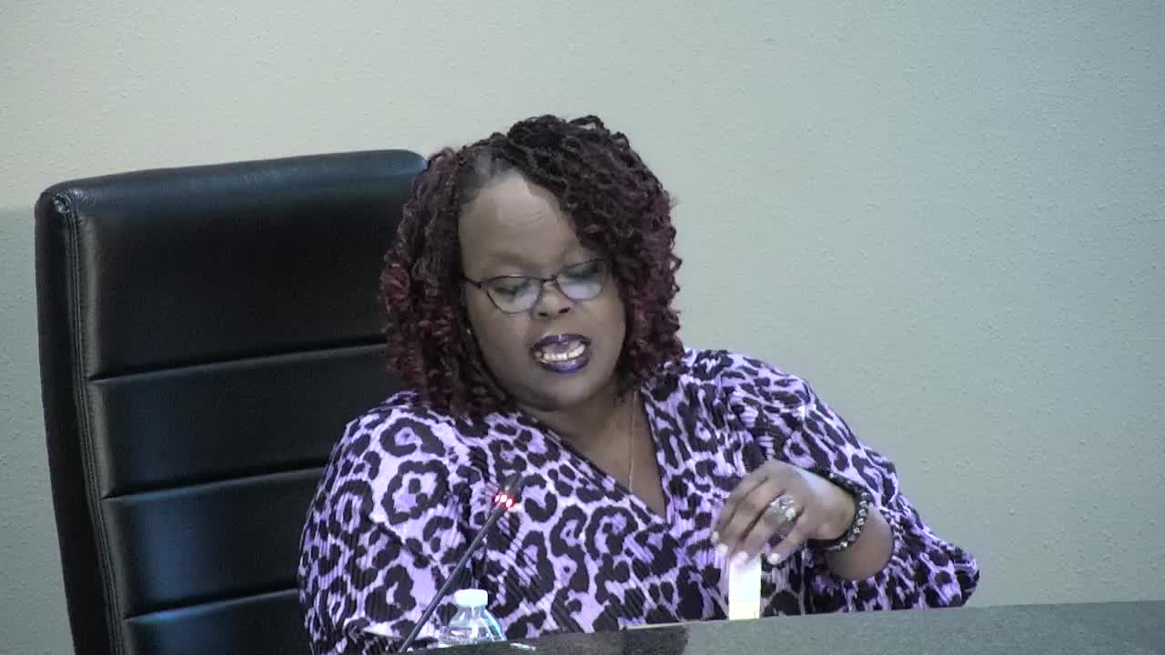 City Council Proposes Quadrant-Based Approach for Bulk and Brush Collection