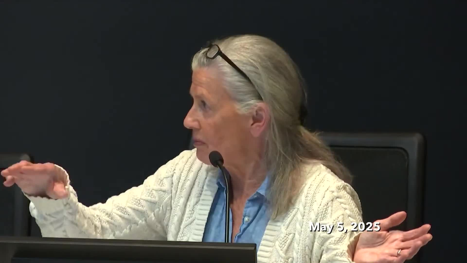Minnetonka Council Debates Off-Leash Dog Park Designation and Community Concerns