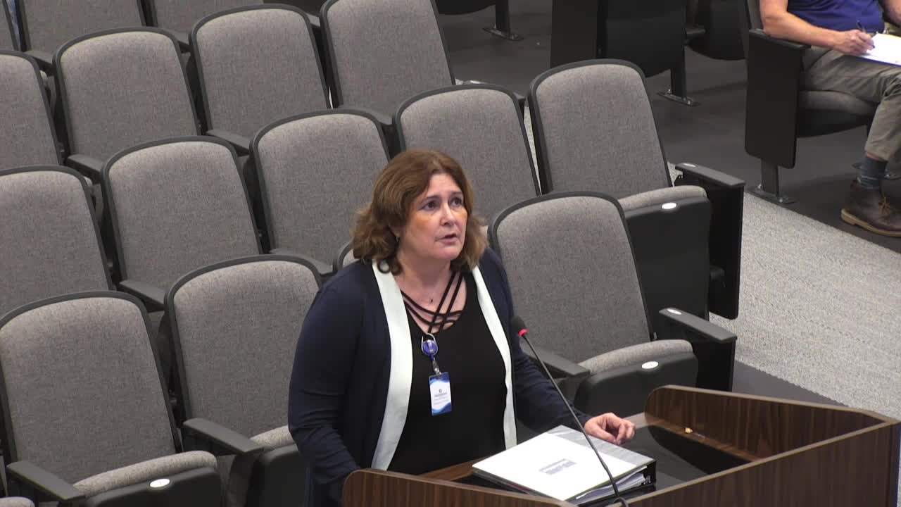 City Council Discusses Walkability and Density Concerns for New Development Plan