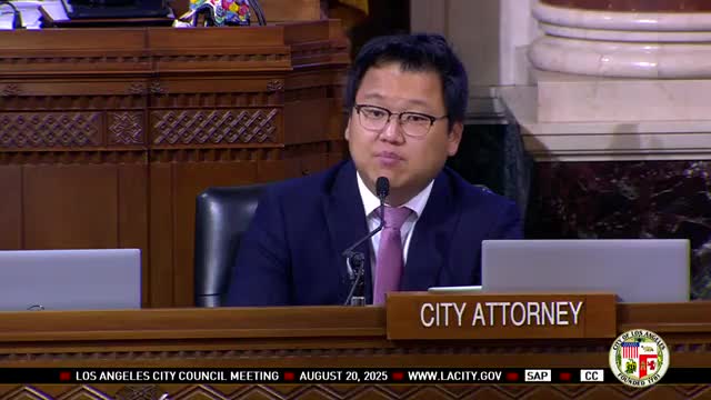 Council Meeting Disrupted by Controversial Comments on Public Space and Trump