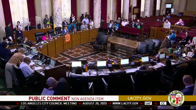 Los Angeles Councils Face Criticism Over Housing Crisis and Resource Allocation
