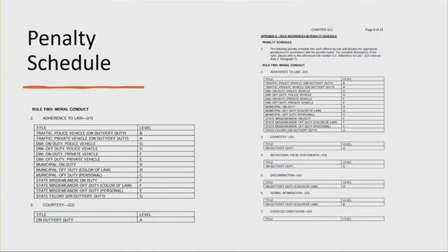 Commissioners Debate Enhancing Transparency in Police Review Panels