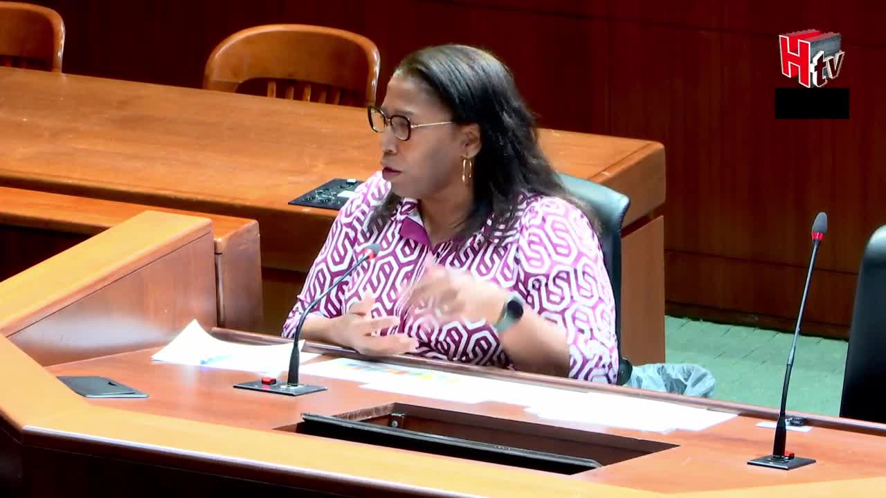 City Council Discusses TIR Expansion and Affordable Housing Funding Strategies