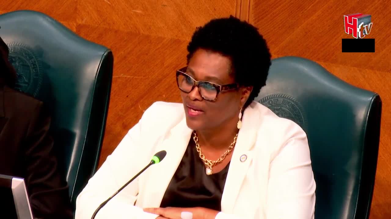Houston City Council Discusses Small Business Support and Policy Changes for MWBEs