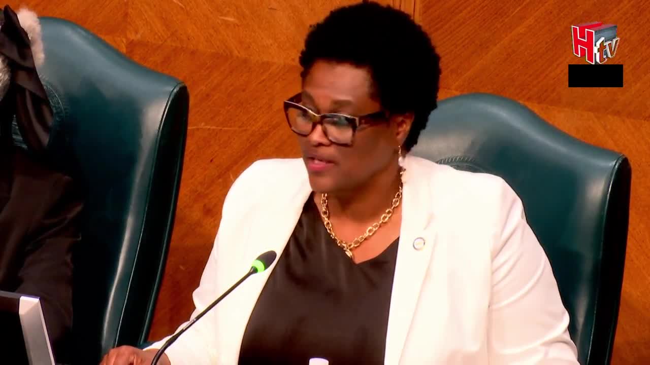 Public Speaker Urges City Council to Reallocate Tourism Funds for Broader Community Support