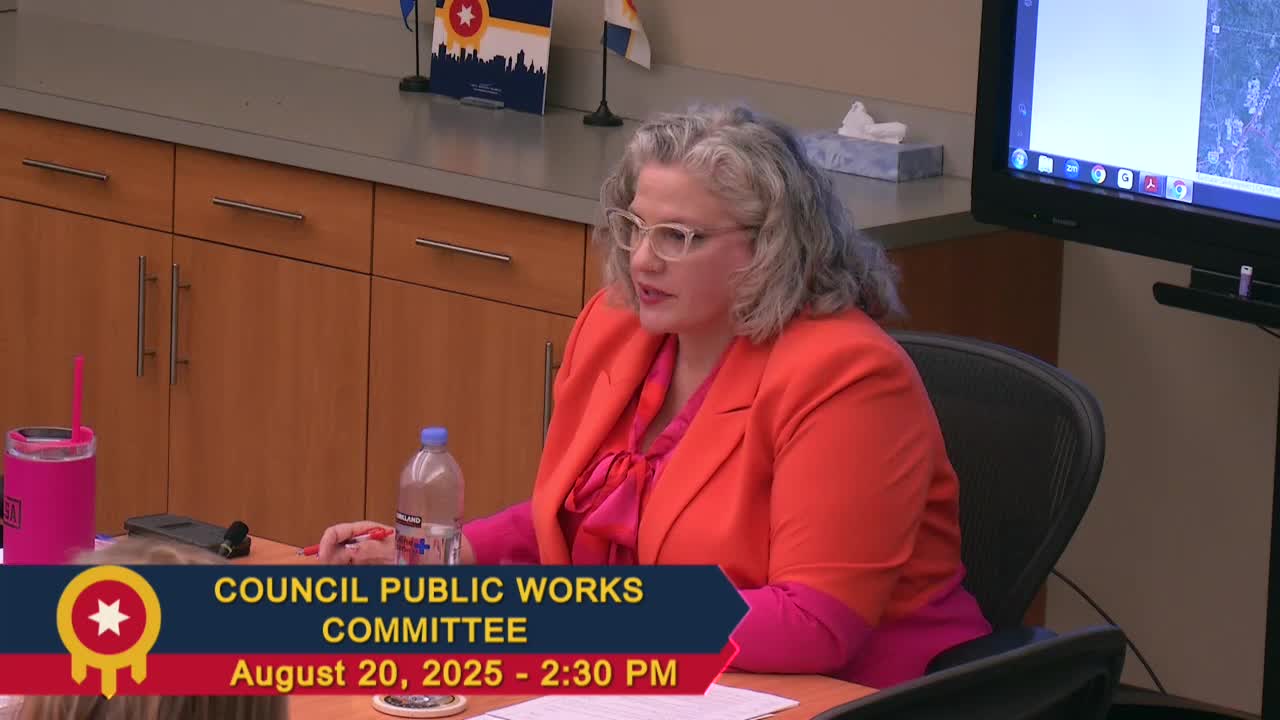Council Discusses Alternatives to Panhandling Enforcement and Mental Health Solutions