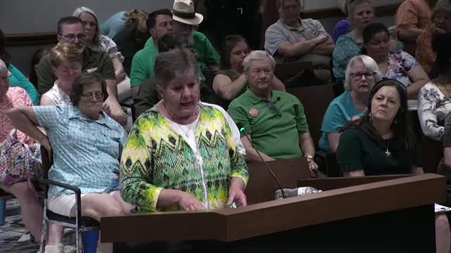 Dan Powell urges against zoning changes near Mary's Creek to prevent flooding risks