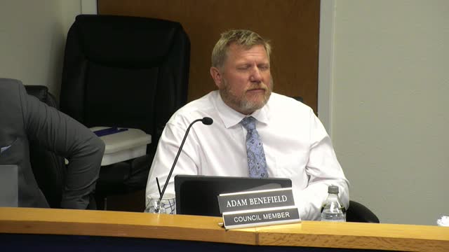 City Council Discusses Funding Challenges for Local Arts Organizations After Fiscal Deficit
