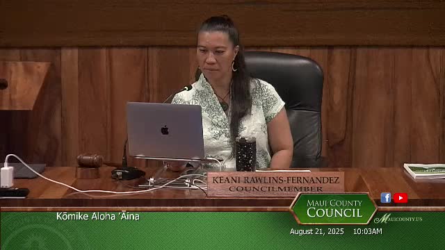 Kiani Rollins Fernandez leads first committee meeting with new members and agenda items