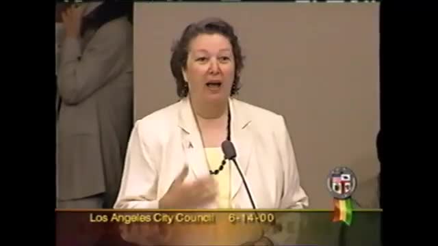 Los Angeles City Council Confirms New Planning Commissioners for West and North Valley