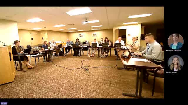 Mental Health Budget Discussed Amidst Technical Difficulties in Priority Planning Session