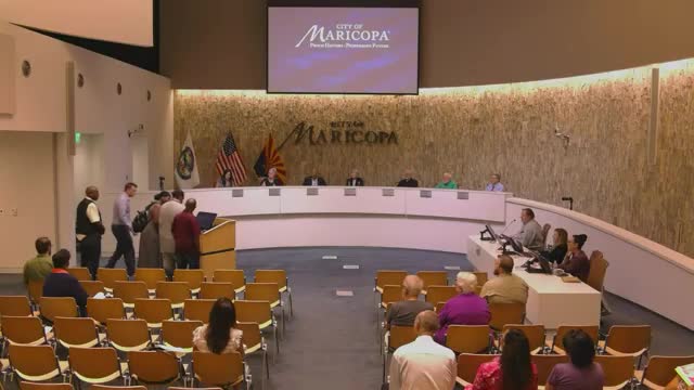 Musician proposes youth mentorship through local concert series in public comment