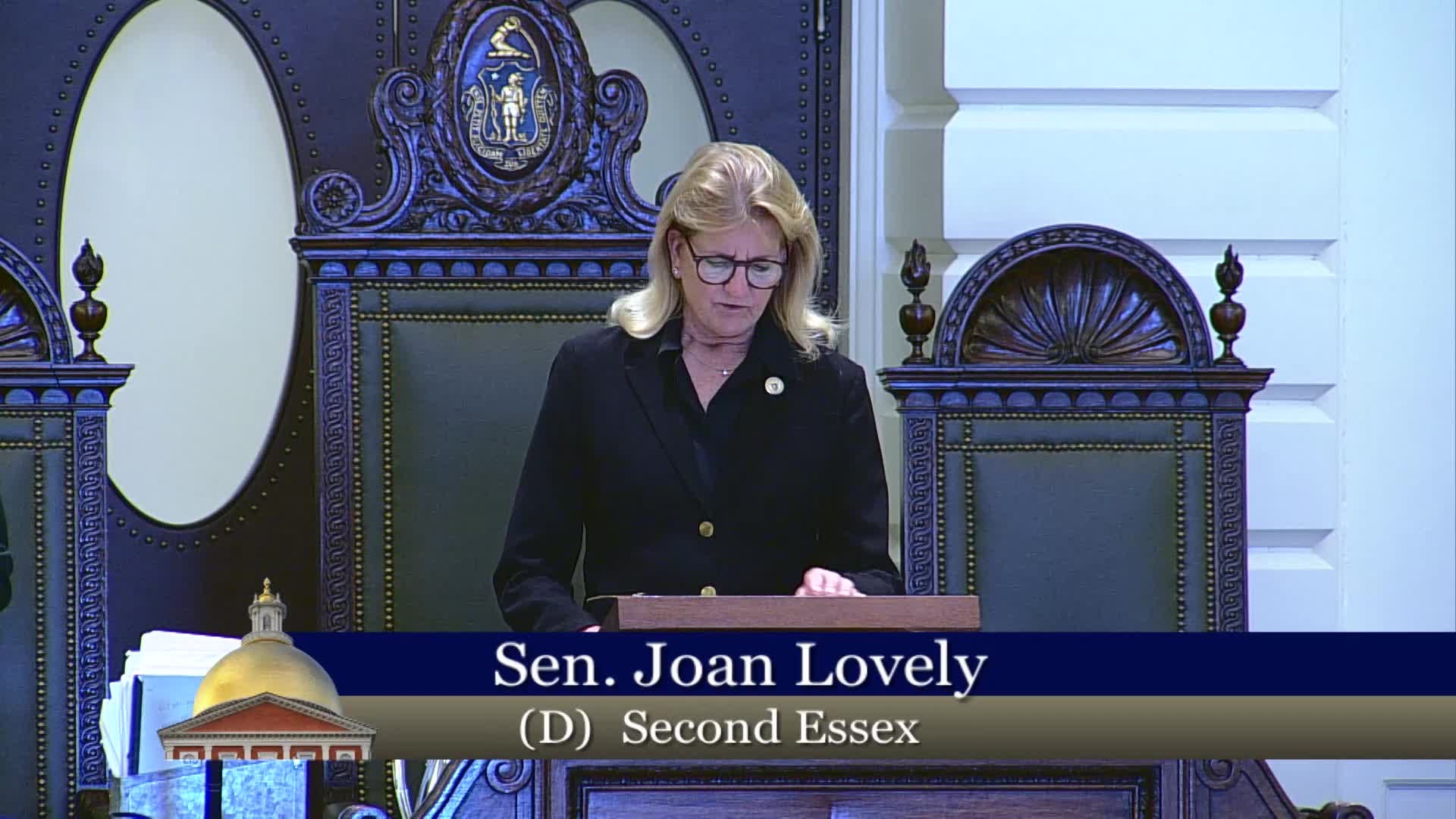 Senate Adopts Resolutions Honoring Munson Lions Club and Groveland's 175th Anniversary