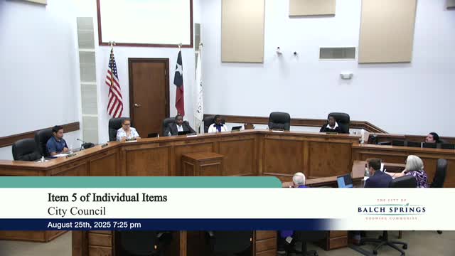 Balch Springs Parks Department presents plan for district block parties to boost community engagement
