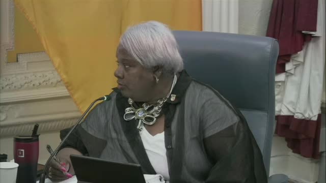 City Council Debates Increased Parking Fines for Improved Enforcement and Community Impact