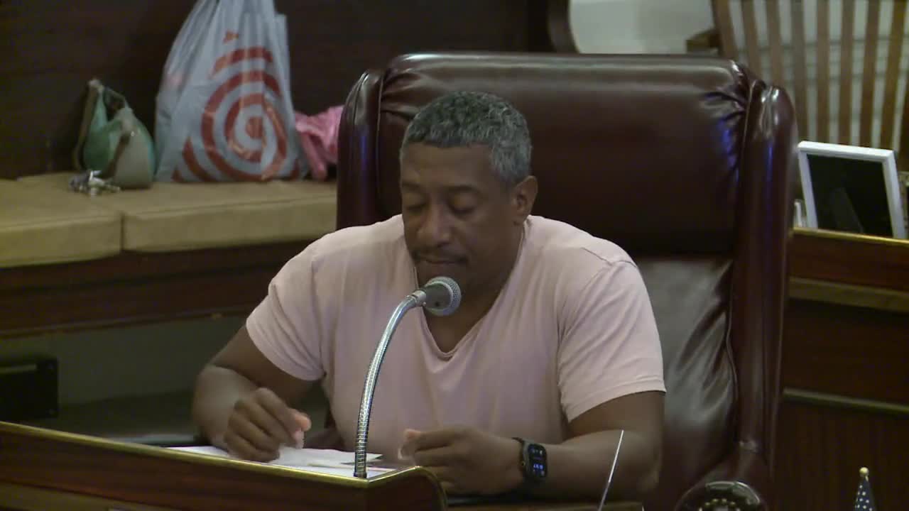 City Council discusses zoning reform to address congestion and building scale concerns