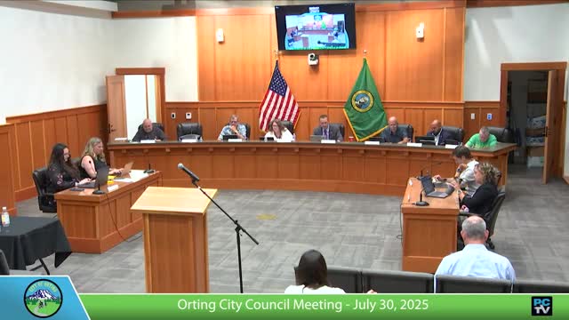 Council awards Safe Streets for All planning contract despite one dissent