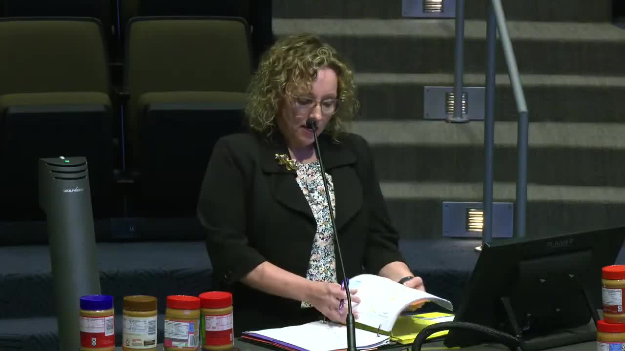 Property Owner Critiques Plano's Subdivision Ordinance Changes During Public Hearing