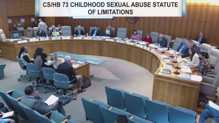 Legislators Discuss Liability for Childhood Sexual Abuse in Private Cases