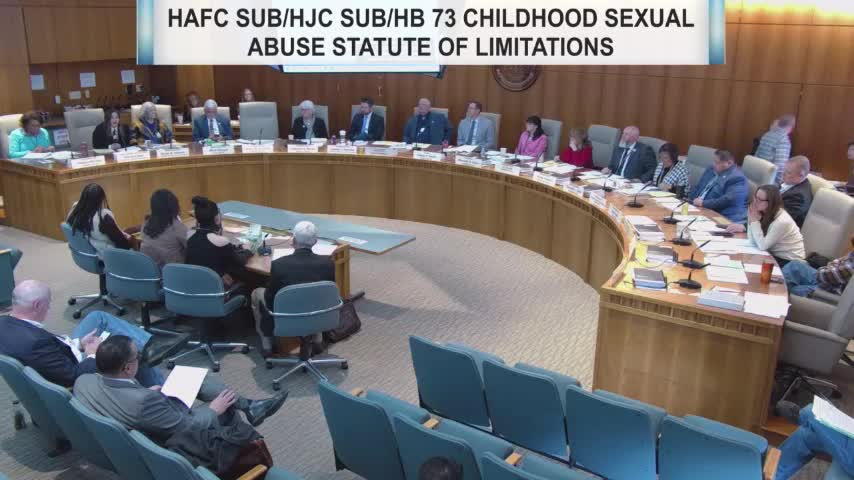 Committee Discusses Civil Suit Parameters Following Jane Doe Testimony
