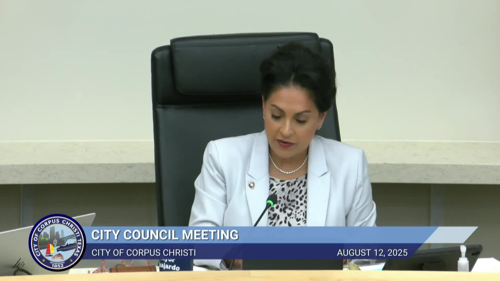 Council approves Barrissi Village tax-increment reinvestment plan, limits city participation to $32 million cap