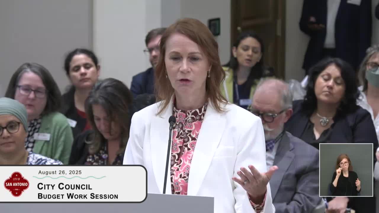 City Council Discusses Health Services and Support for Domestic Violence Victims