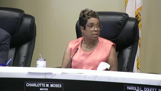 City Council Meeting Disrupted by Technical Difficulties and Sound Issues